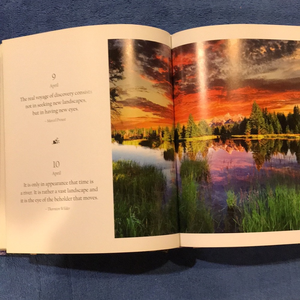 Nature Book - Picture 7 of 11